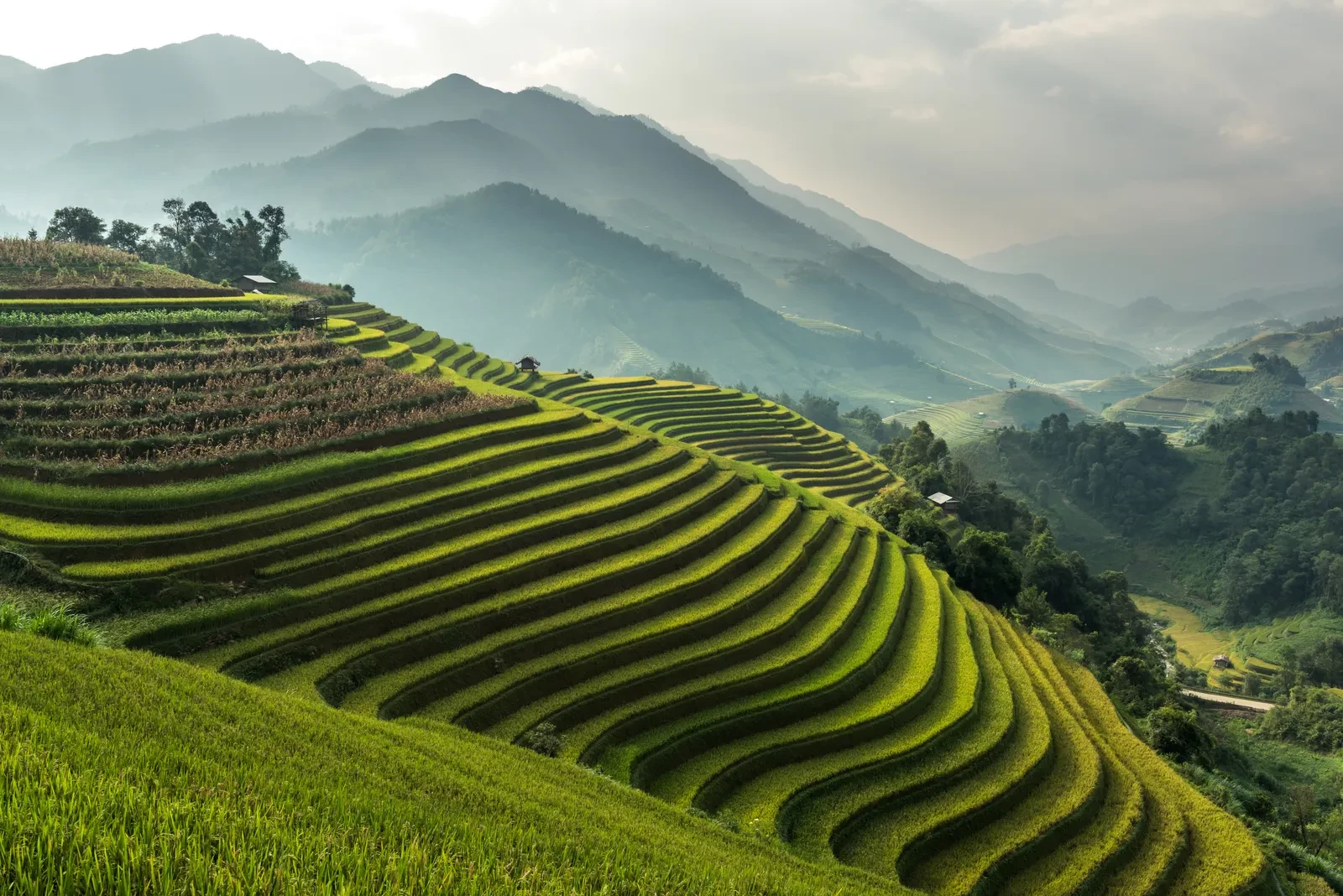 vietnam-27085-gettyimages-611609802-1792146193.webp