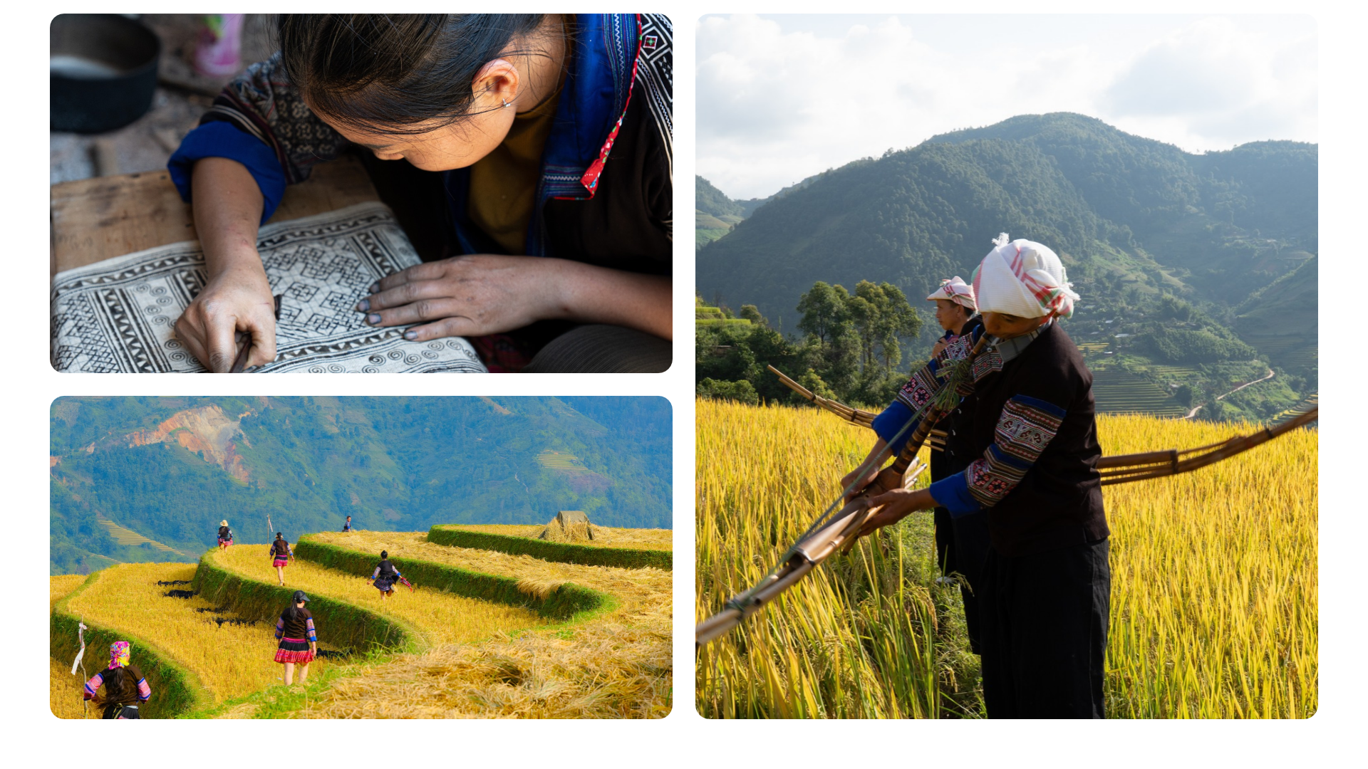 sac-vang-tren-nhung-trien-nui-1792057194.png