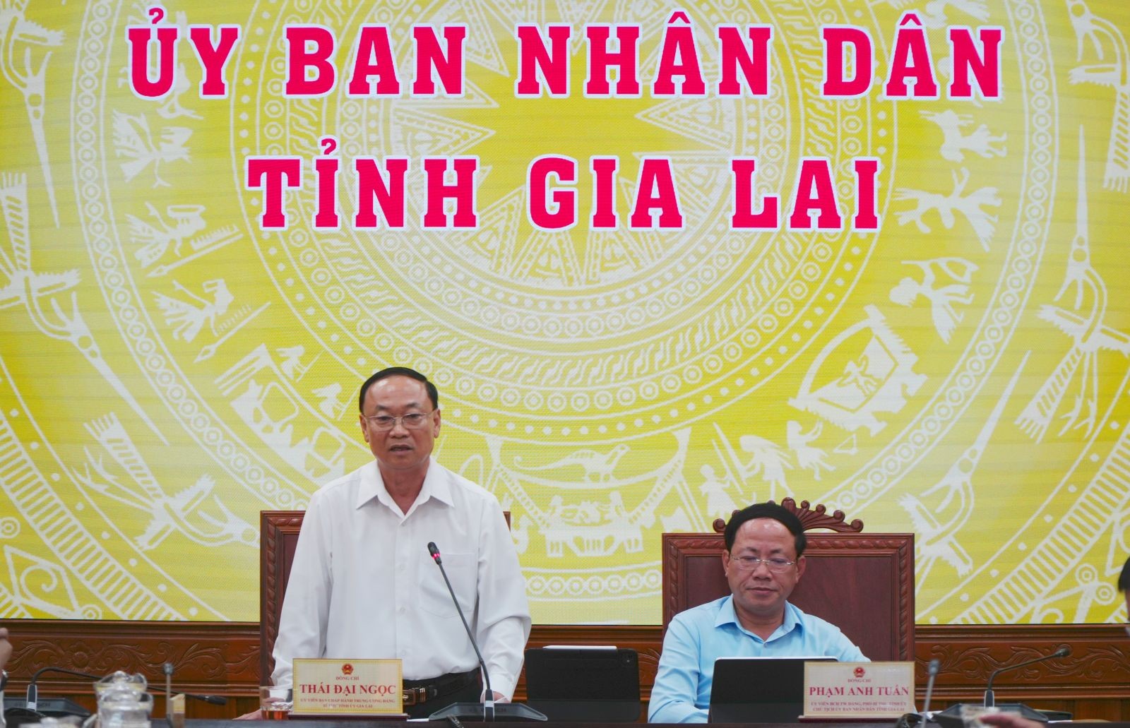 Ông Thái Đại Ngọc - Bí thư Tỉnh ủy Gia Lai, phát biểu tại cuộc họp.