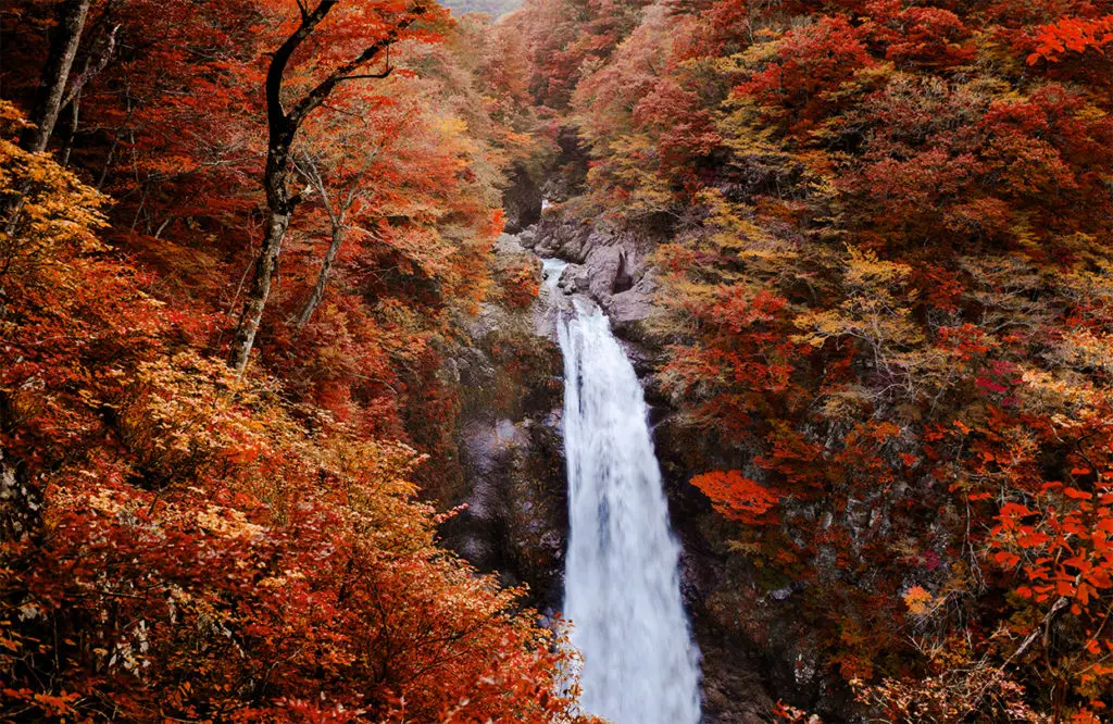 akiu-waterfall-in-akiu-osen-with-vibrant-red-autumn-forest-1669792470.jpg