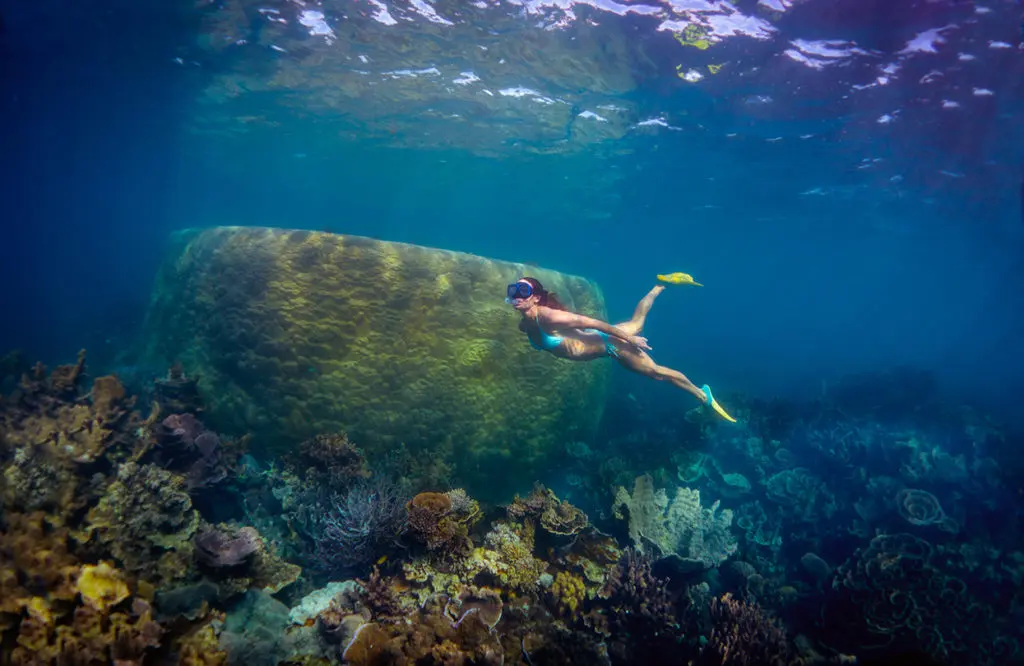 snorkeling-in-coral-bay-ningaloo-reef-by-david-kirkland-coral-coast-tourism-1670575205.jpg