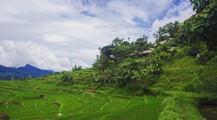 muong-lat-cung-co-ruong-bac-thang-xanh-ngat-1675328585.jpg