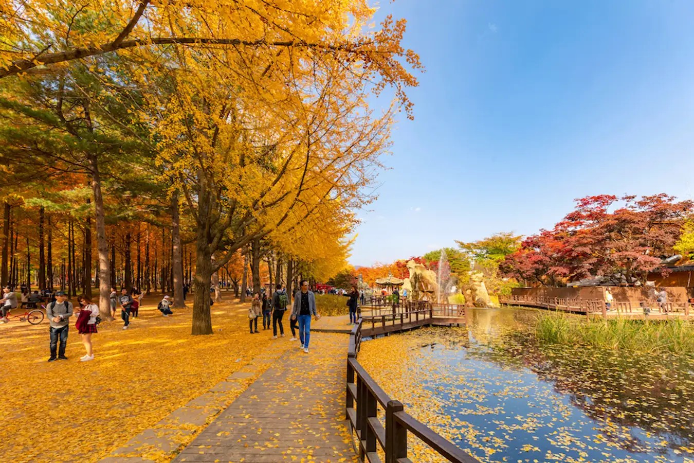 Top 9 địa điểm trải nghiệm mùa thu tuyệt vời nhất Hàn Quốc