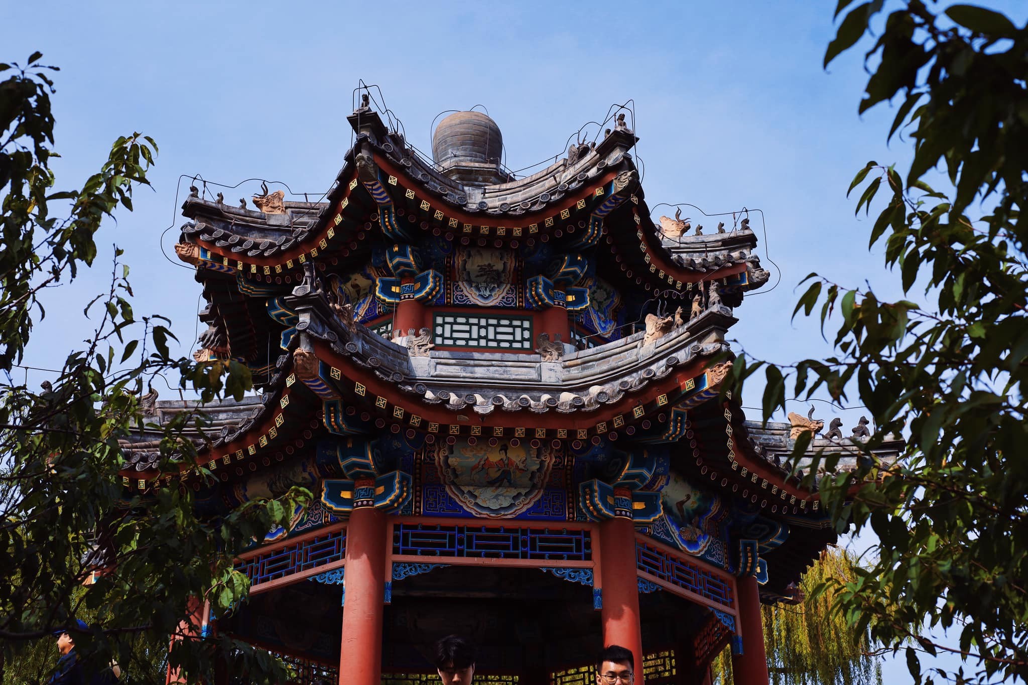 di-hoa-vien-14-1696923698.jpg