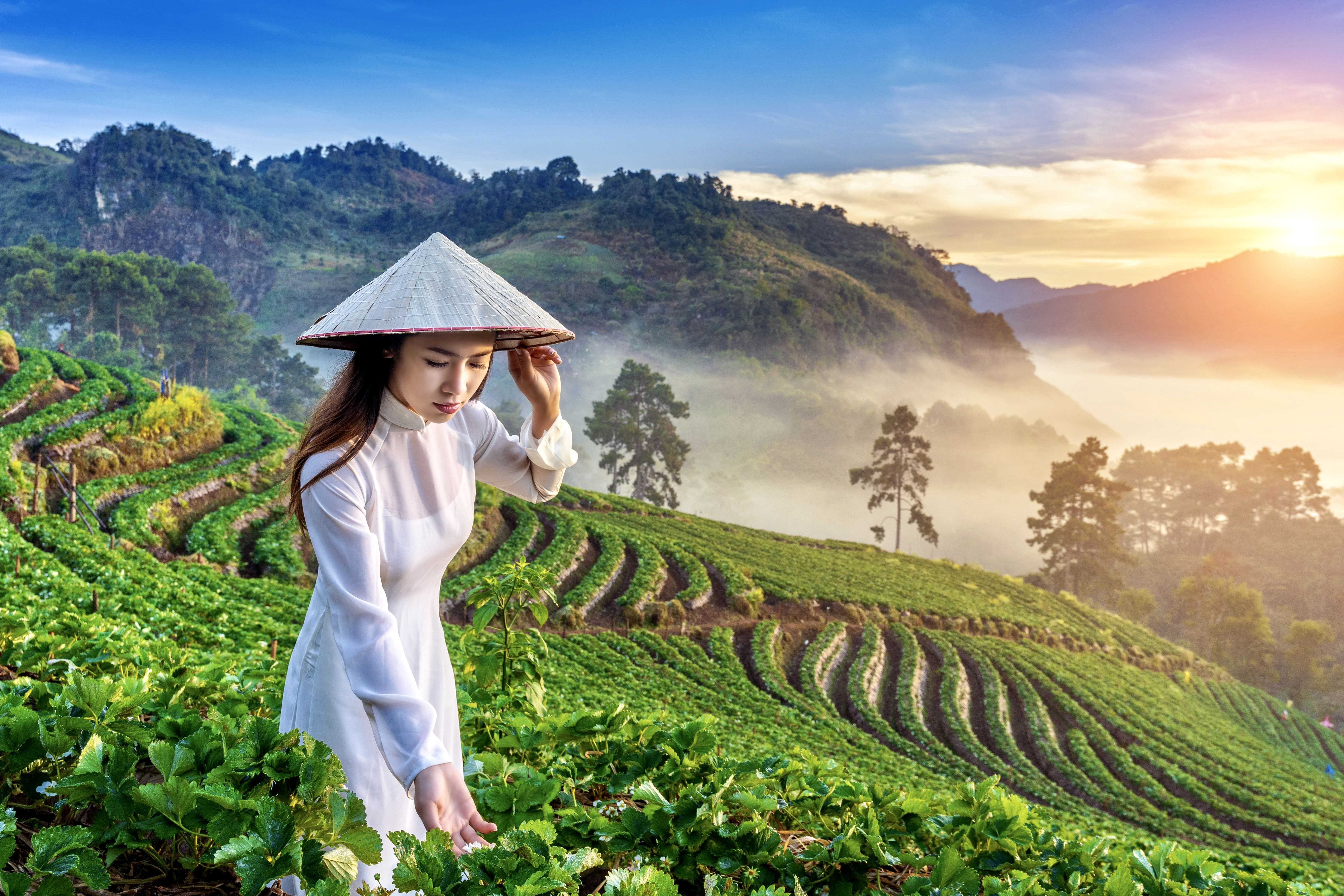 asian-woman-wearing-vietnam-culture-traditional-strawberry-garden-sunrise-1-1-1698740870.jpeg