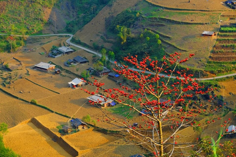 Vẻ đẹp quyến rũ nơi rẻo cao Hà Giang - xứ sở đá cũng nở hoa