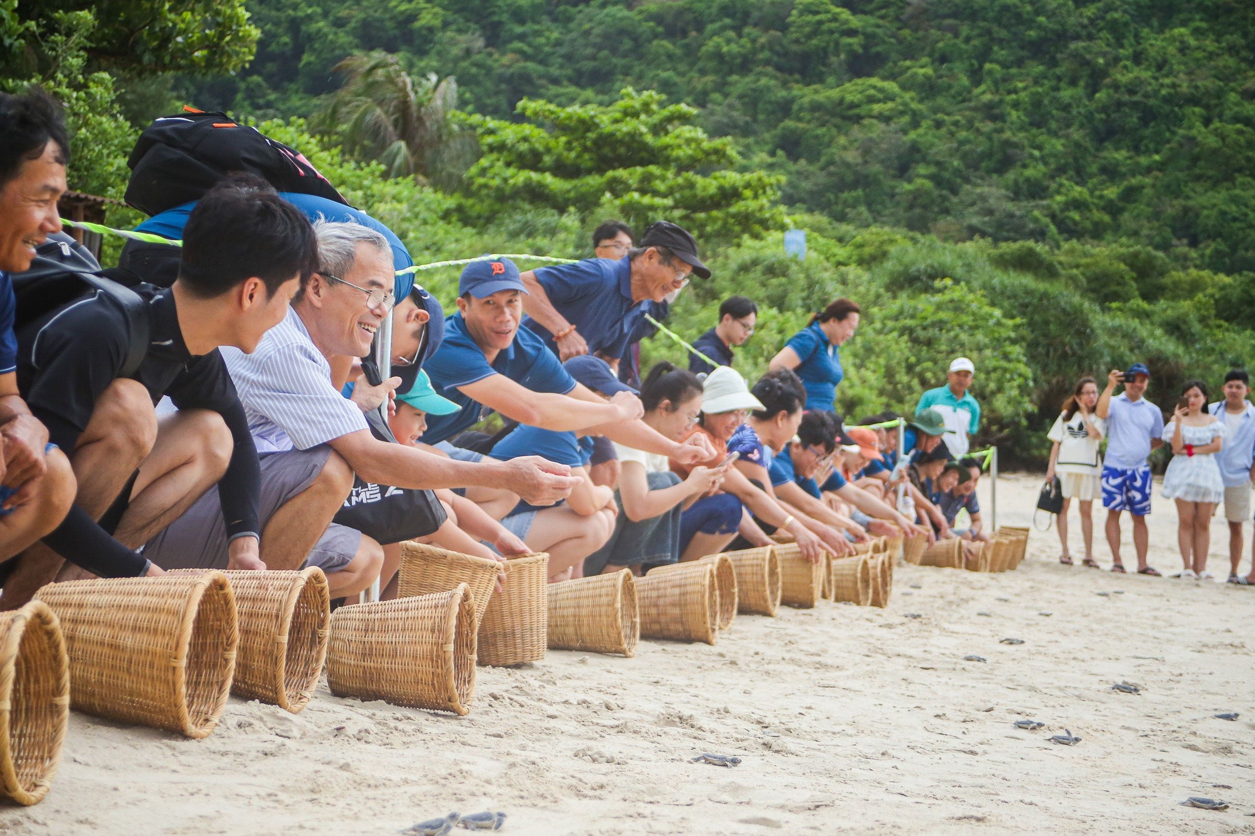 Du lịch Côn Đảo, trải nghiệm thả rùa về biển