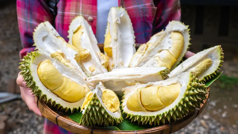 durian-tourism-is-a-big-thing-in-malaysia-1722443129.jpg