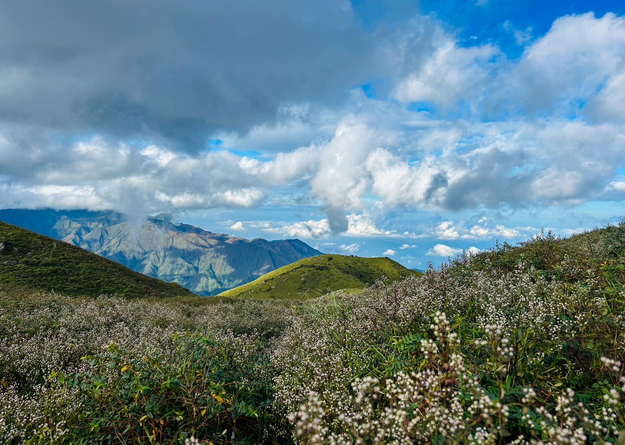 2N1Đ trekking Tà Chì Nhù ngắm hoa chi pâu