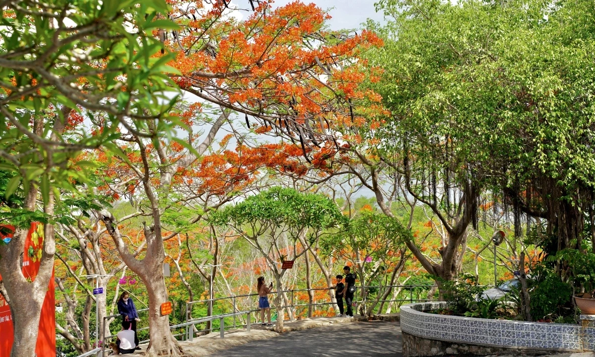 dsc06585-1-1746681140.webp