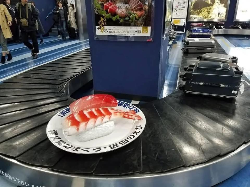 496004631-1228433242623685-1137869015117797352-n-1747710143.jpg