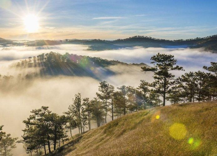 dalat-1748332773.jpg