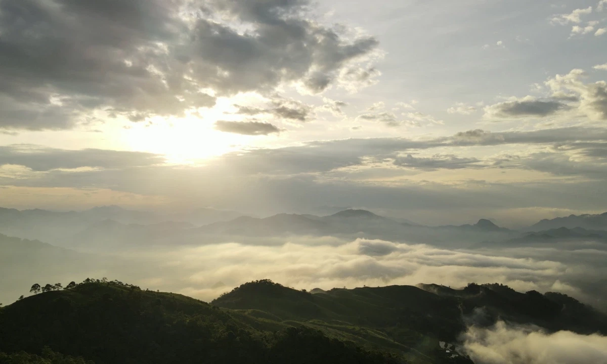 img-3641-1688730762-1748493066.webp