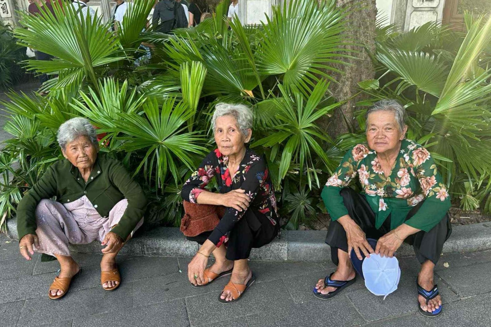 3-ba-ban-than-u80-dan-nhau-du-lich-khap-noi-ke-ky-niem-tim-tai-leo-fansipan-113133-1749523366.jpeg