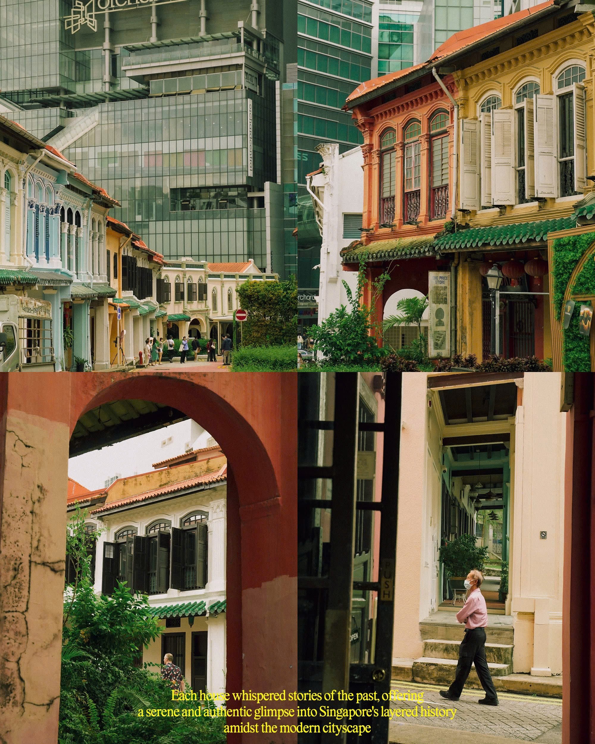 hinh-4-duxton-hill-1751297108.jpg