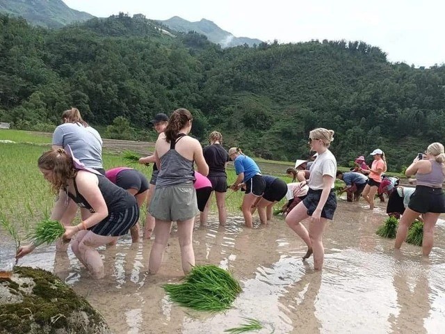tay-du-lich-ha-giang-7-1751951452.jpg