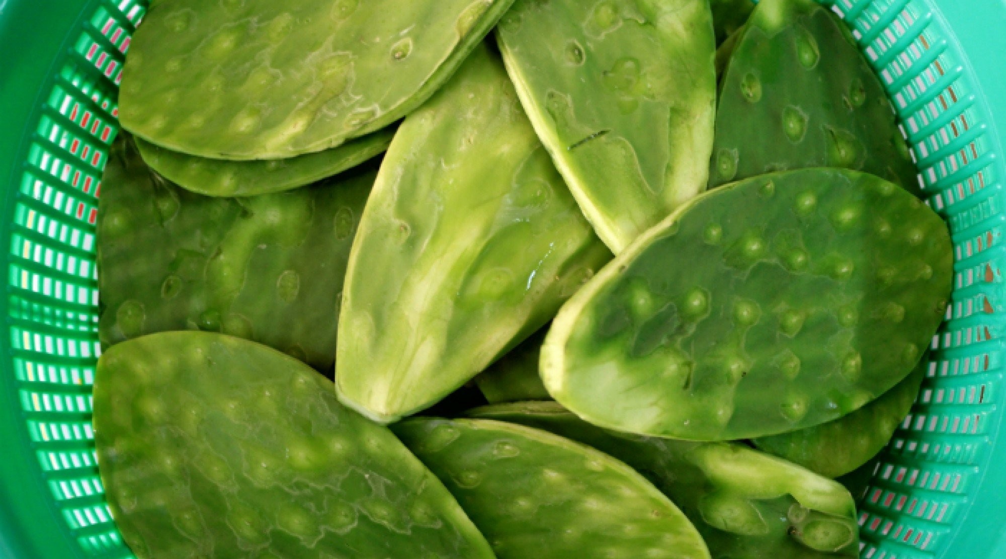 nopalitos-1567752680-width2000height1111-1752483717.jpg