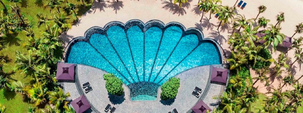 shell-pool-1-1752816398.jpg