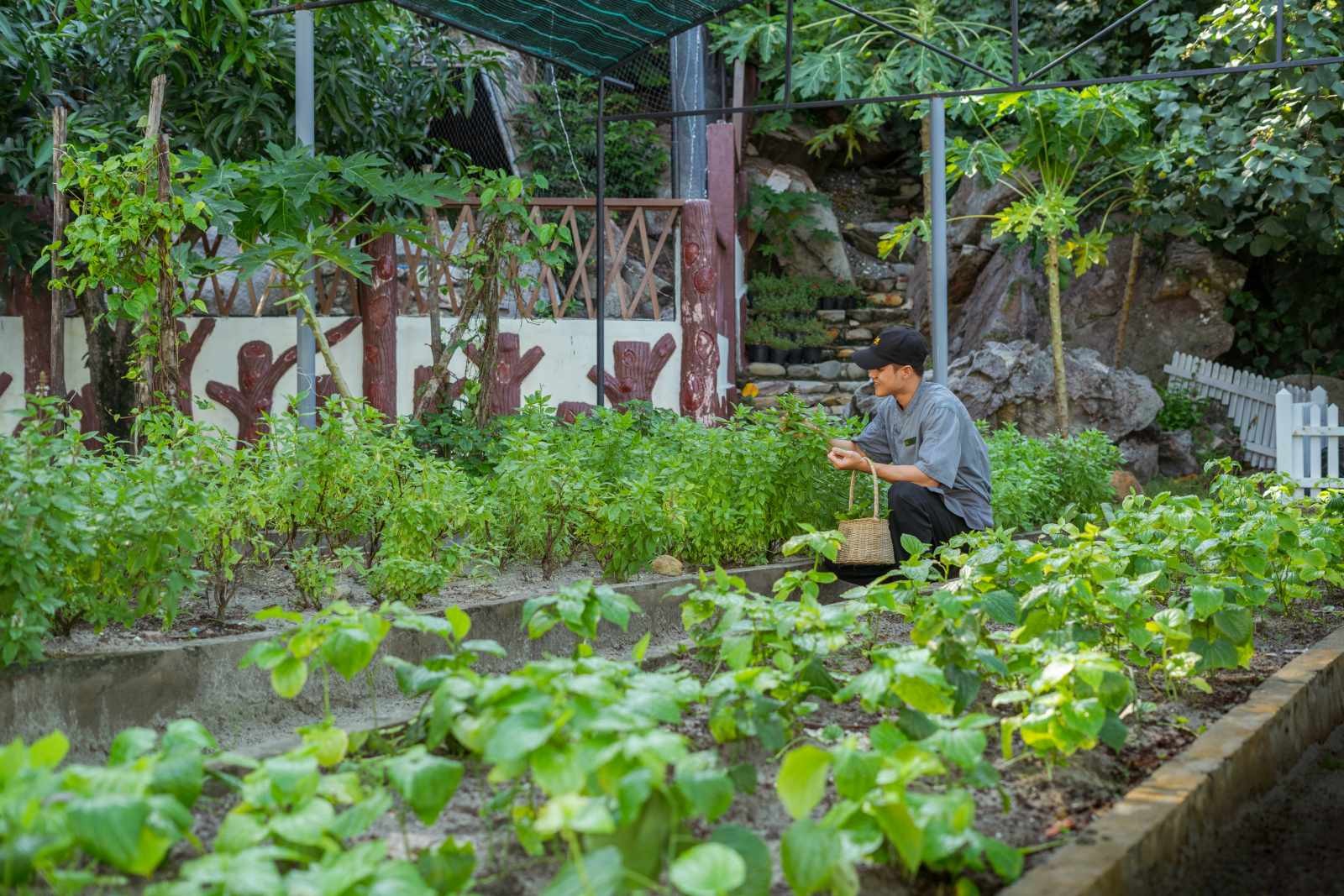 wowweekend-premier-village-phu-quoc-resort-green-globe-2025-sustainability-prestigious-certification-5-1753416640.jpg