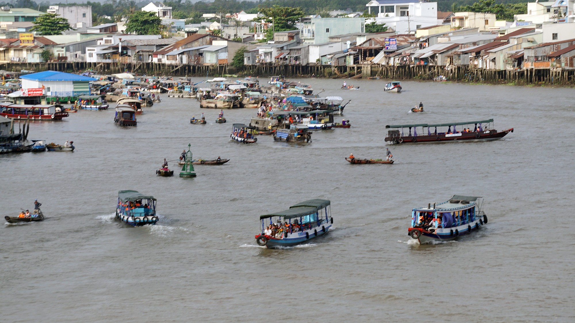 anh-cho-noi-cai-rang-1-1753896075.jpg