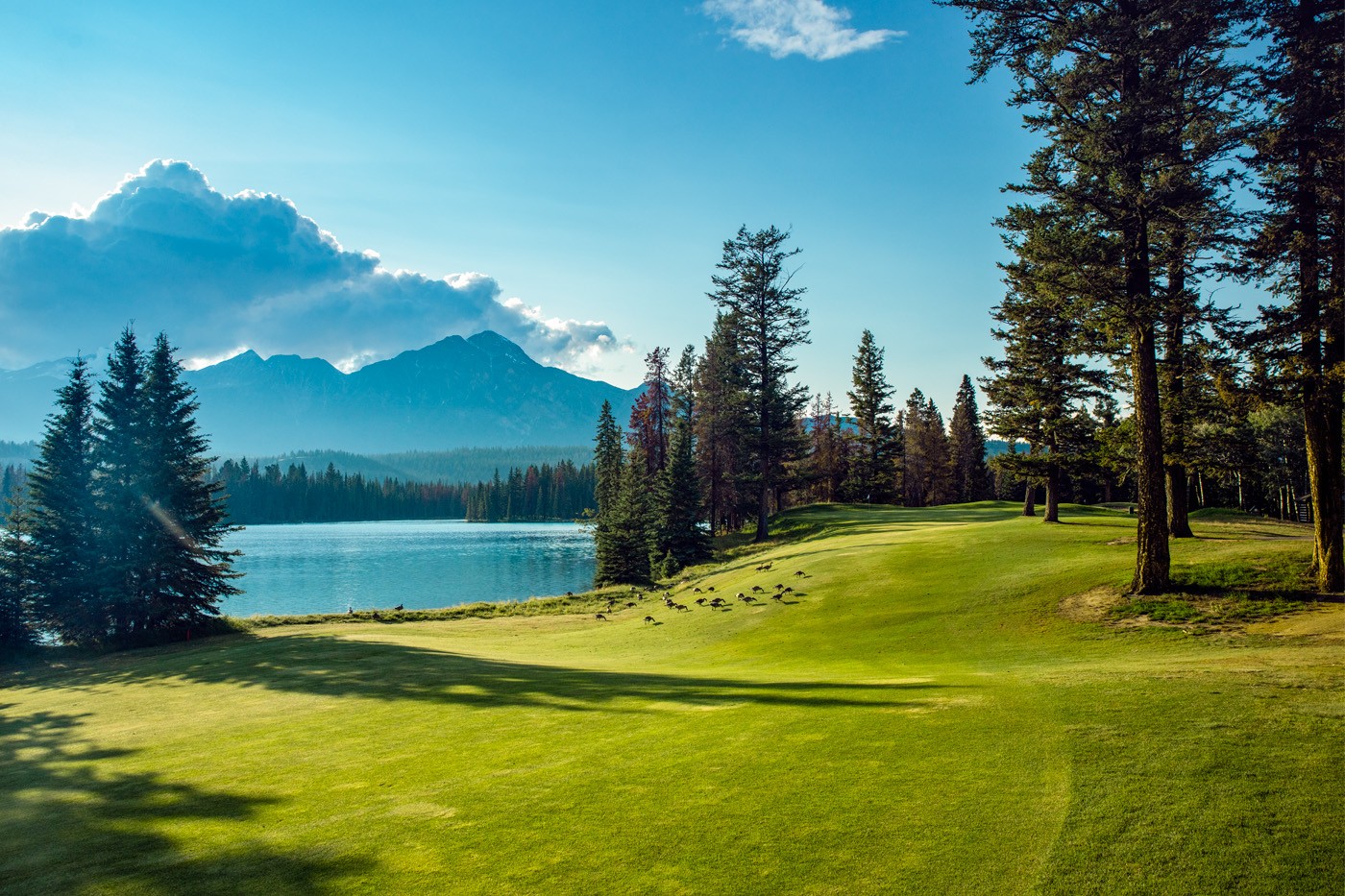 fairmountjasperparklodgegolf-faimontjasperpark-lodge-1754631669.jpg