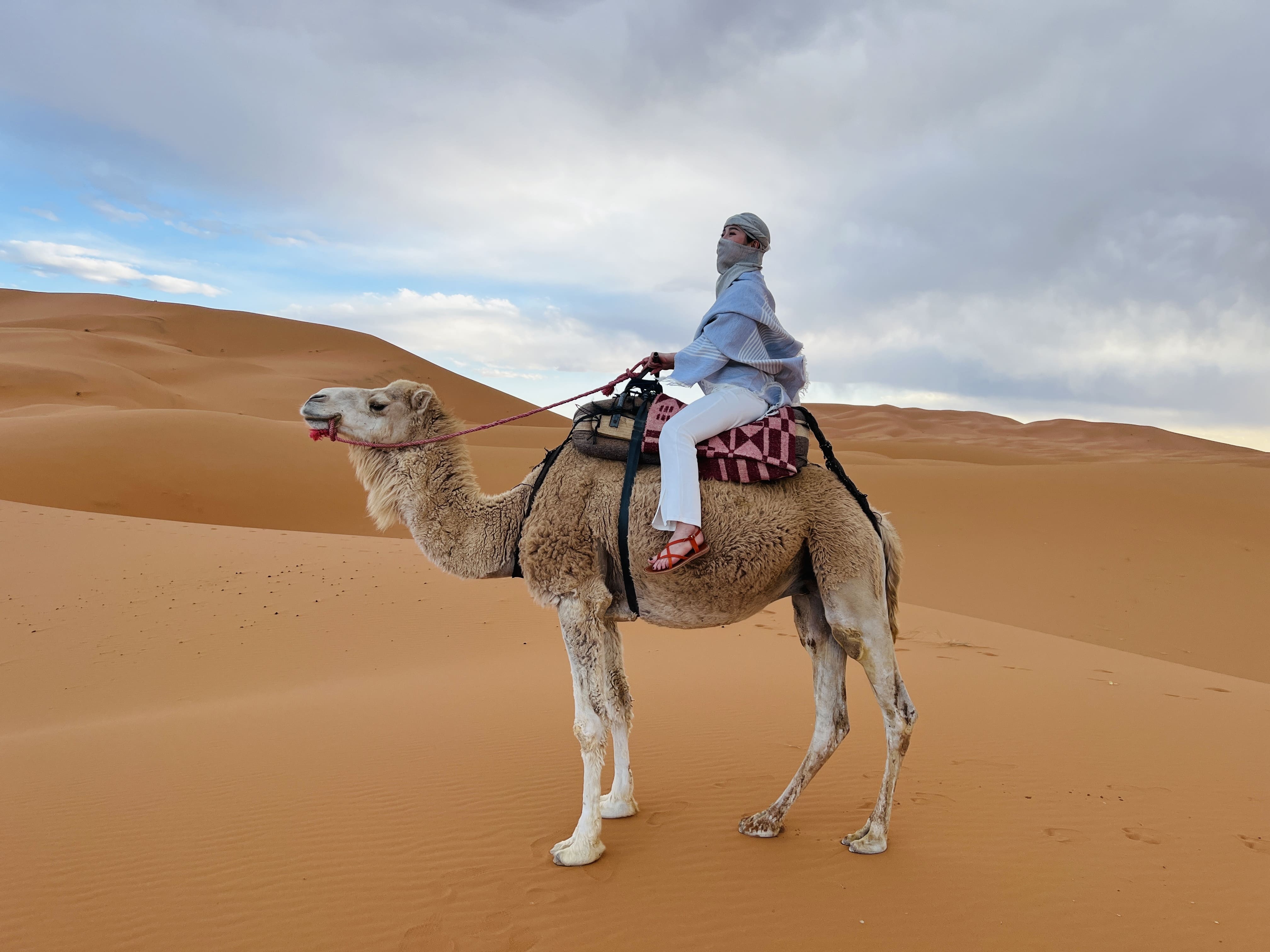 loan-tour-golf-sahara-12-1754625343.jpg