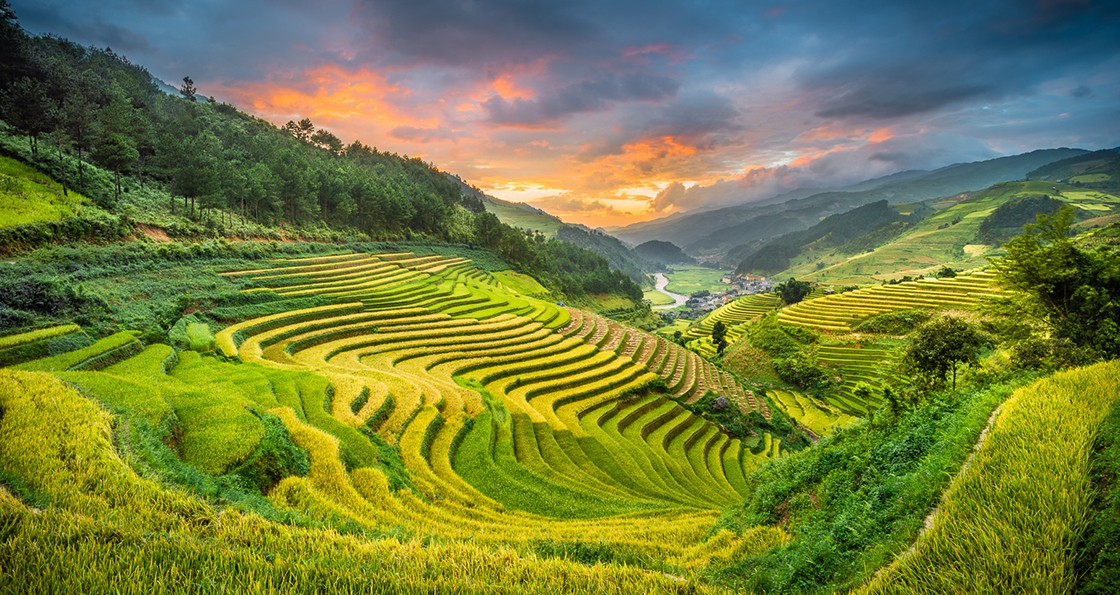 mu-cang-chai-vietnam-1757064797.jpg