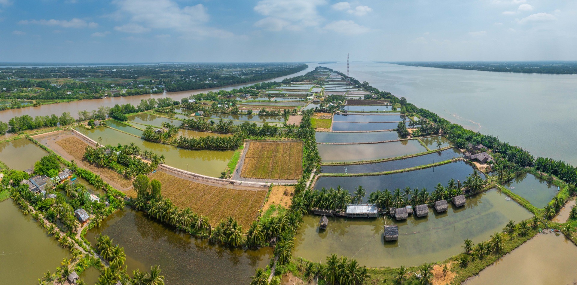 1750229120-dji-20250111042901-0177-d-pano-1757494715.jpg
