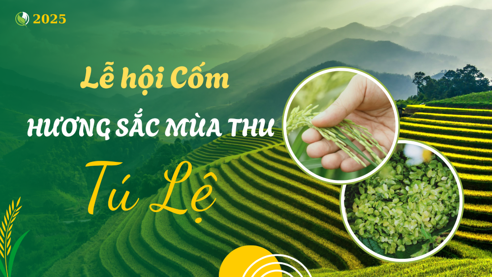 green-and-yellow-gradient-modern-rice-field-ecosystems-presentation-2-1758095045.png