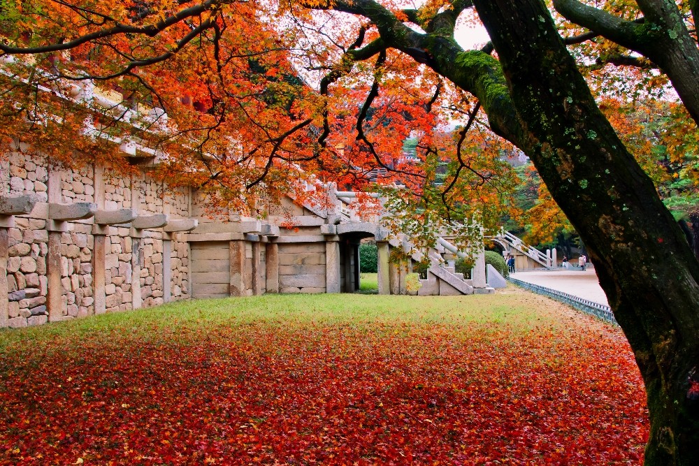 bulguksa-temple-gyeongju-1-1-1758514963.jpg