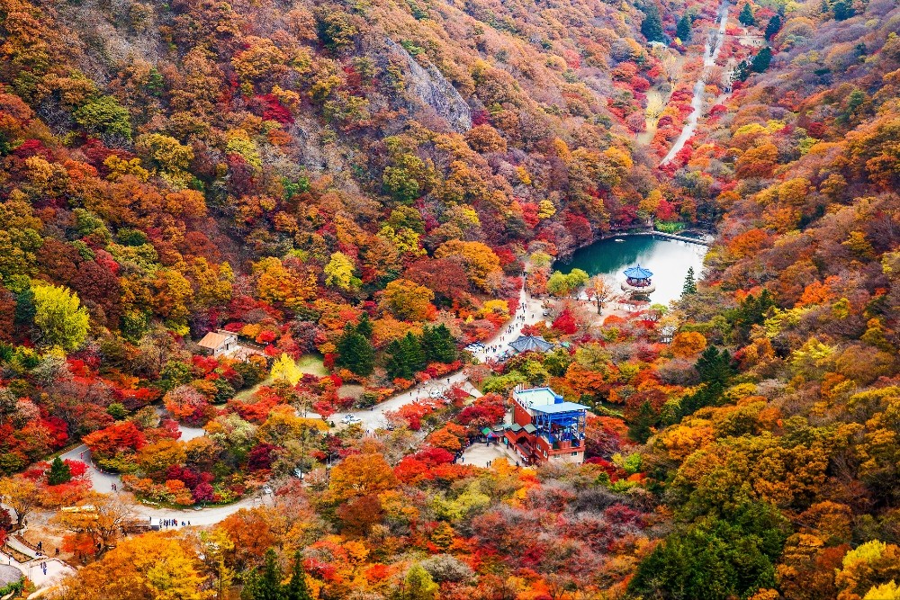 naejangsan-mountain-jeolla-1-1-1758514850.jpg
