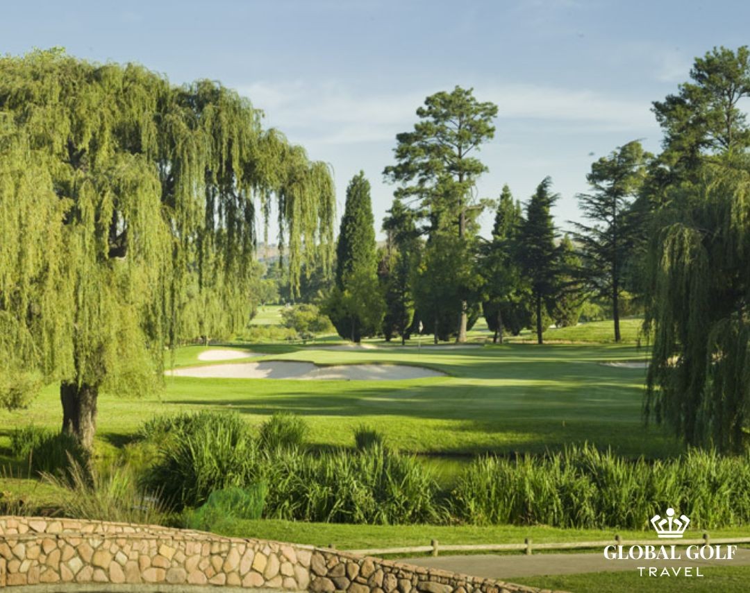 glendower-golf-club-14th-1759444130.jpg