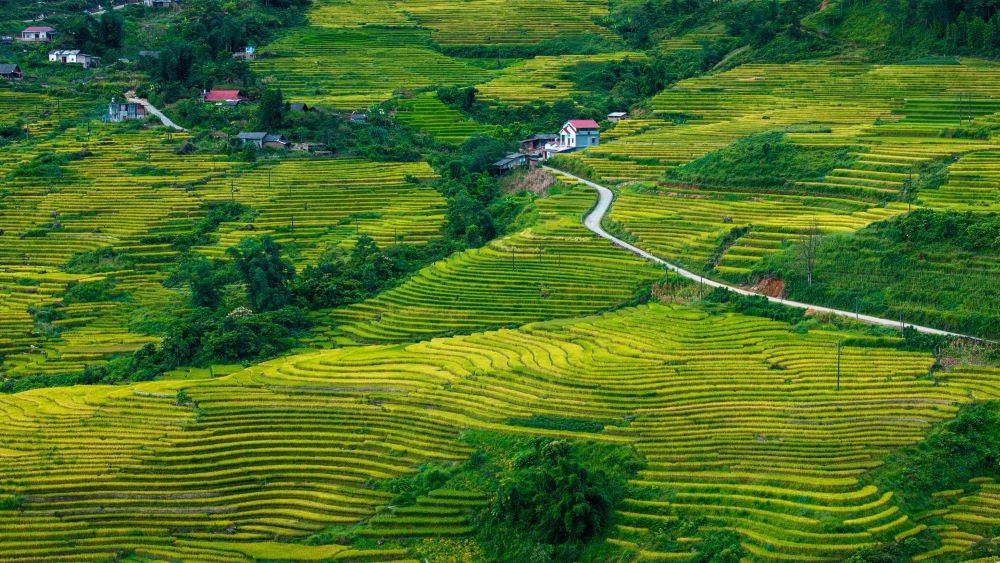 Bài 3: Quản trị điểm đến Dền Sáng - Bài toán phân vai trong phát triển du lịch