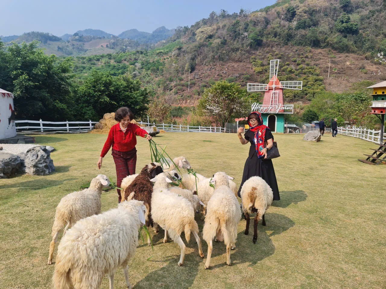 Happy Land Mộc Châu: điểm du lịch tổng hợp với cảnh quan thiên nhiên và các hoạt động trải nghiệm