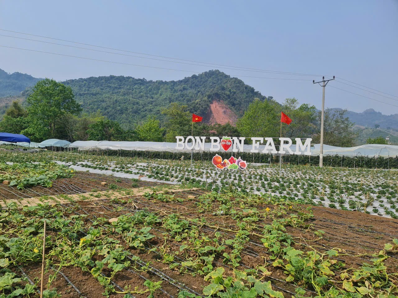 Đoàn khảo sát mô hình du lịch nông nghiệp trải nghiệm tại Bon Bon Farm, Mộc Châu