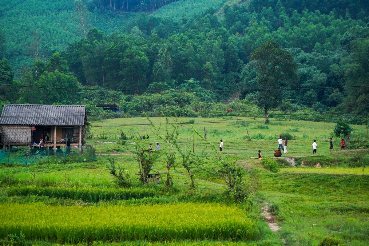 xuyenviet-07744-1780164893.jpg