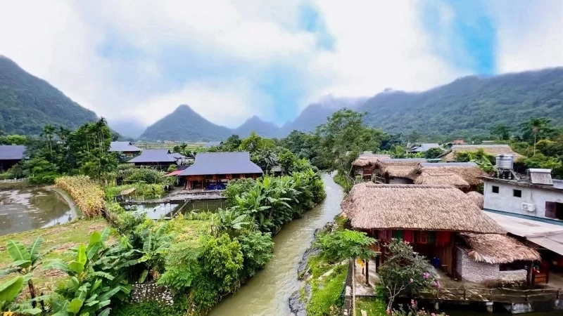 lam-thuong-1780897832.webp
