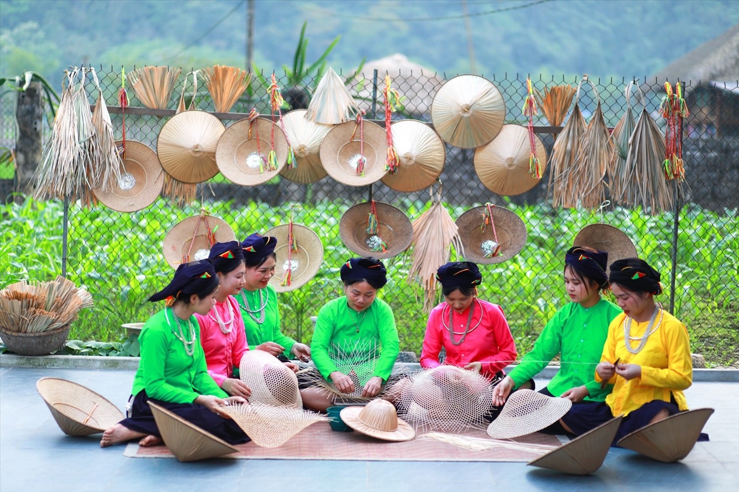 lam-thuong-3-1780898116.jpg