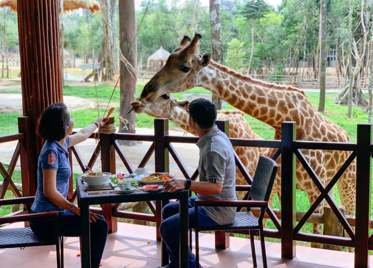 a4-trai-nghiem-am-thuc-giua-khong-gian-thien-nhien-tai-vinpearl-safari-phu-quoc-1782114669.jpg