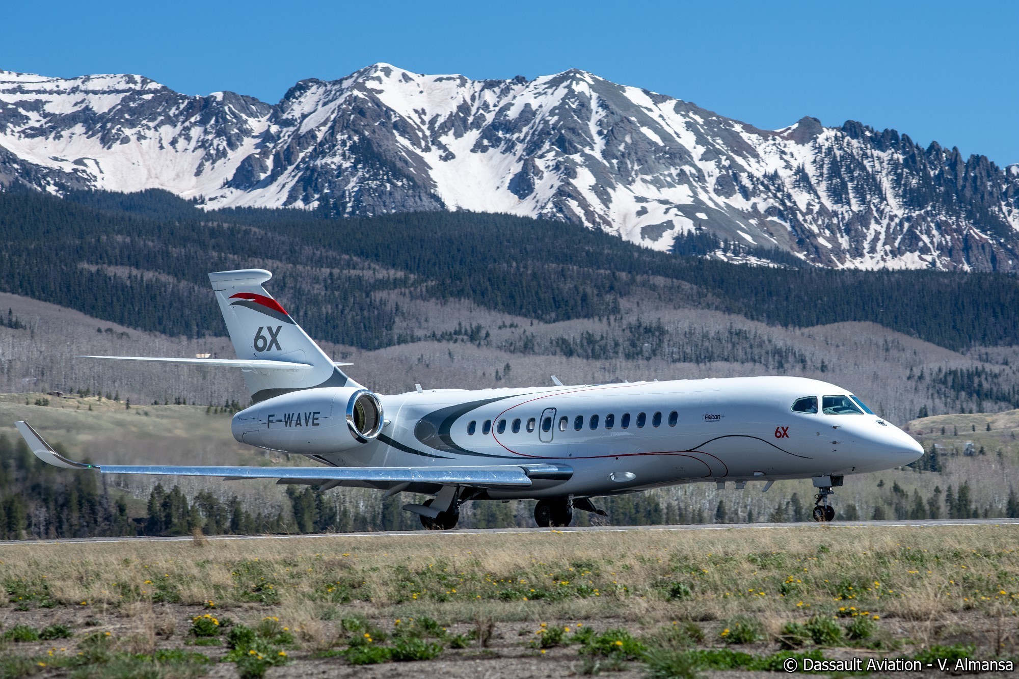 falcon-6x-1783677364.jpg