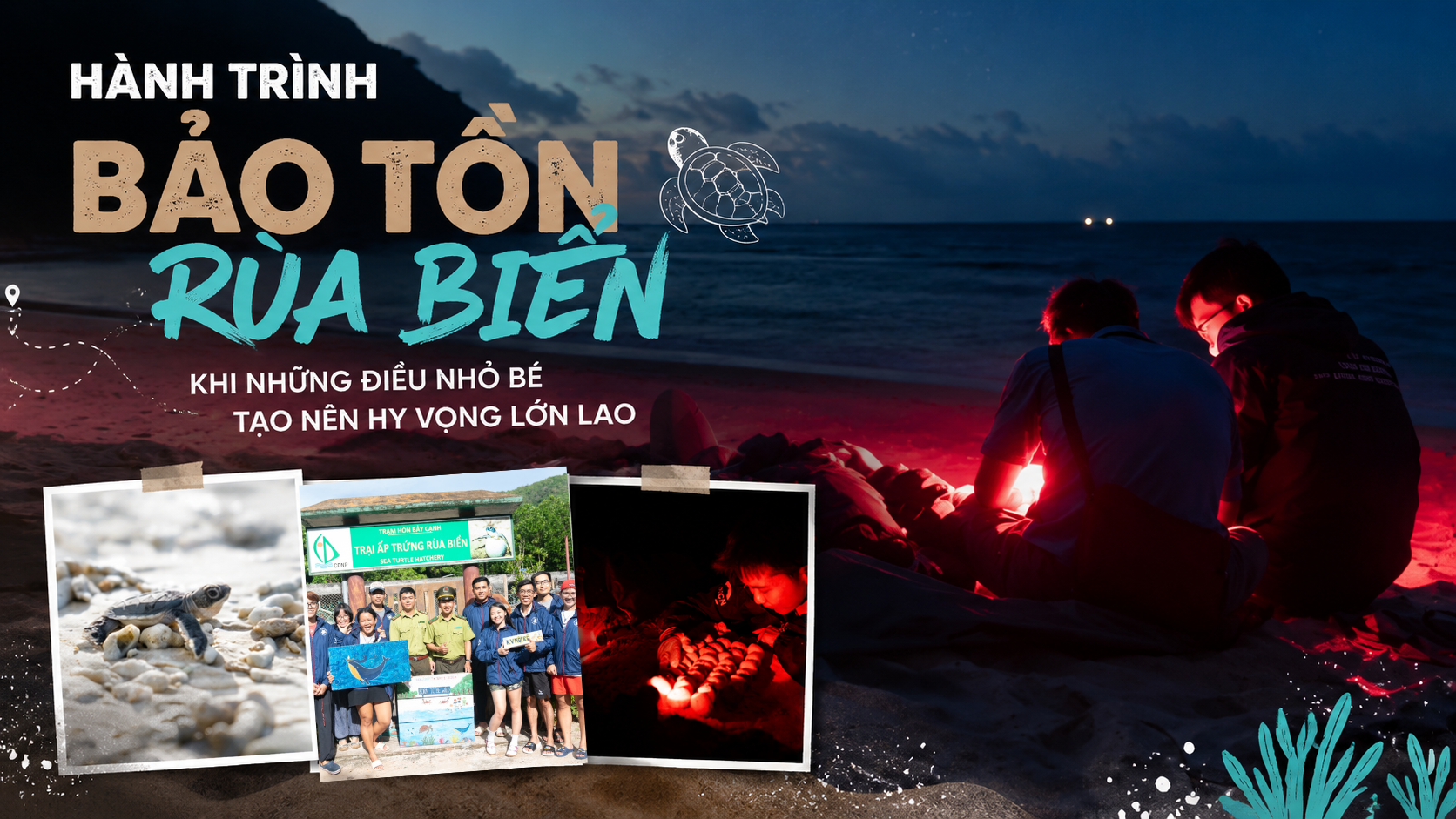 10 đêm thức trắng cùng rùa biển ở Hòn Bảy Cạnh, Côn Đảo