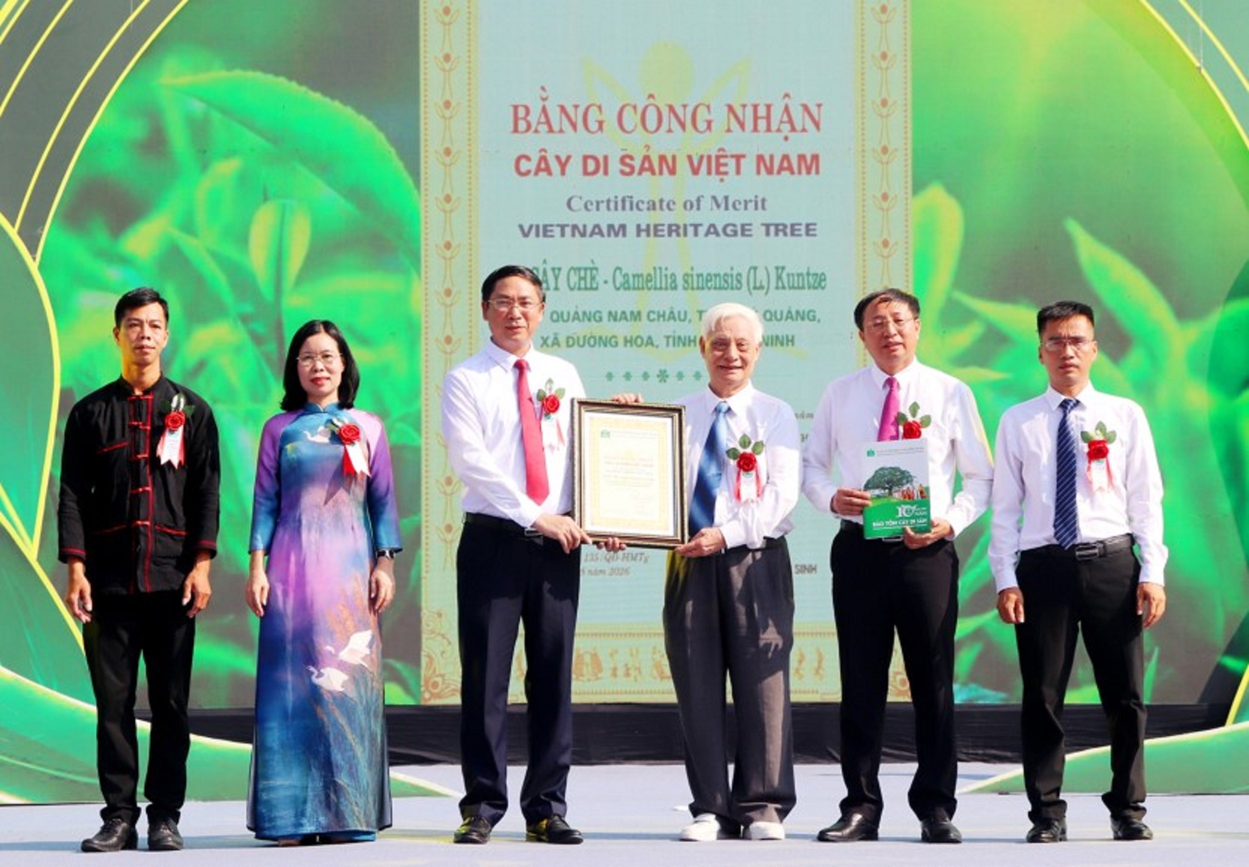 2-cay-du-san-1786457114.jpg