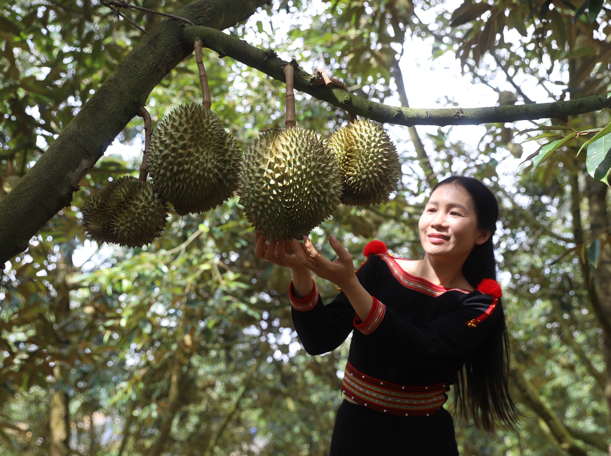 5-8-hop-bao-4-1786523112.jpg