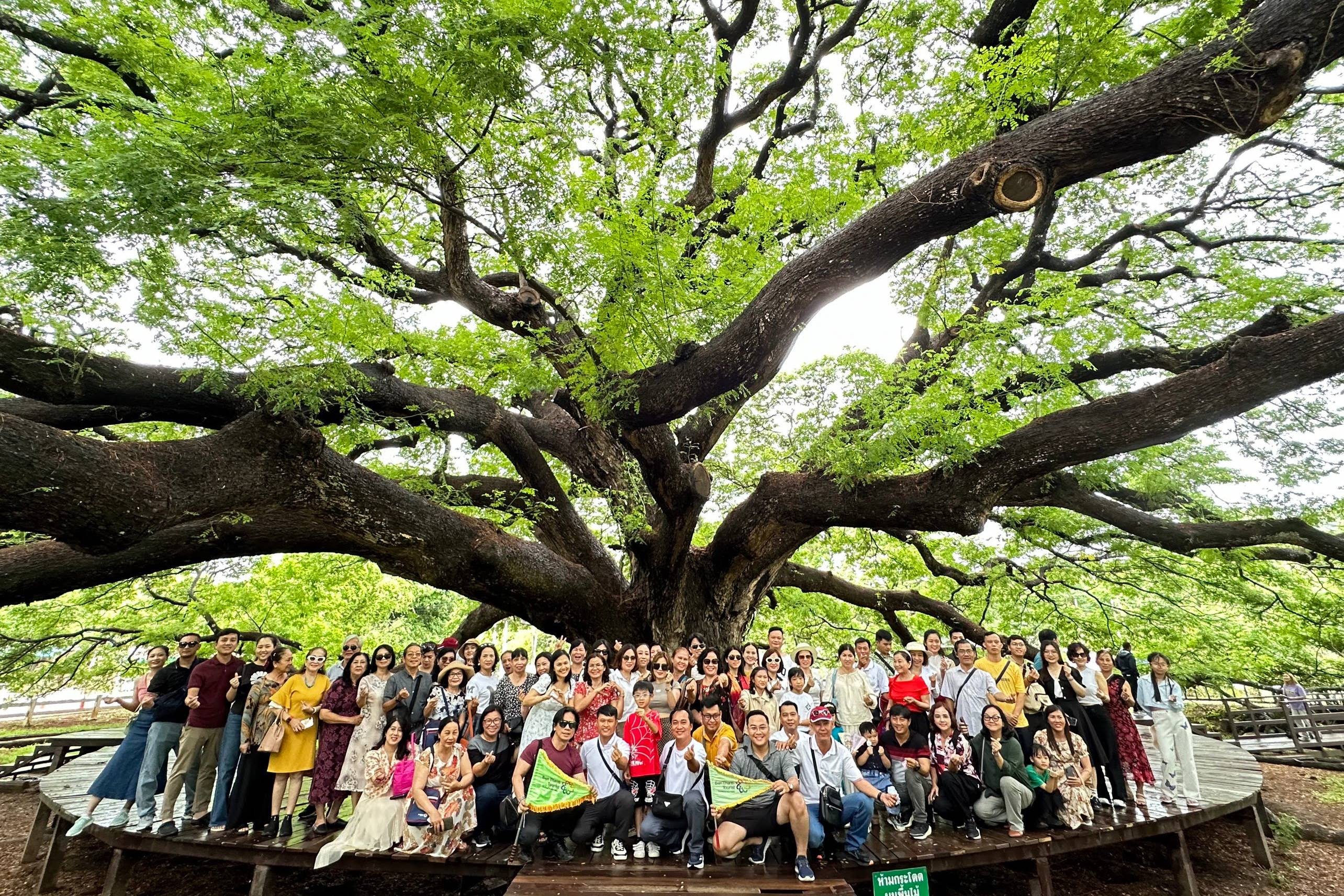 h09-doan-khach-benthanh-tourist-tai-diem-tham-quan-giant-rain-tree-kanchanaburi-1786717127.jpg