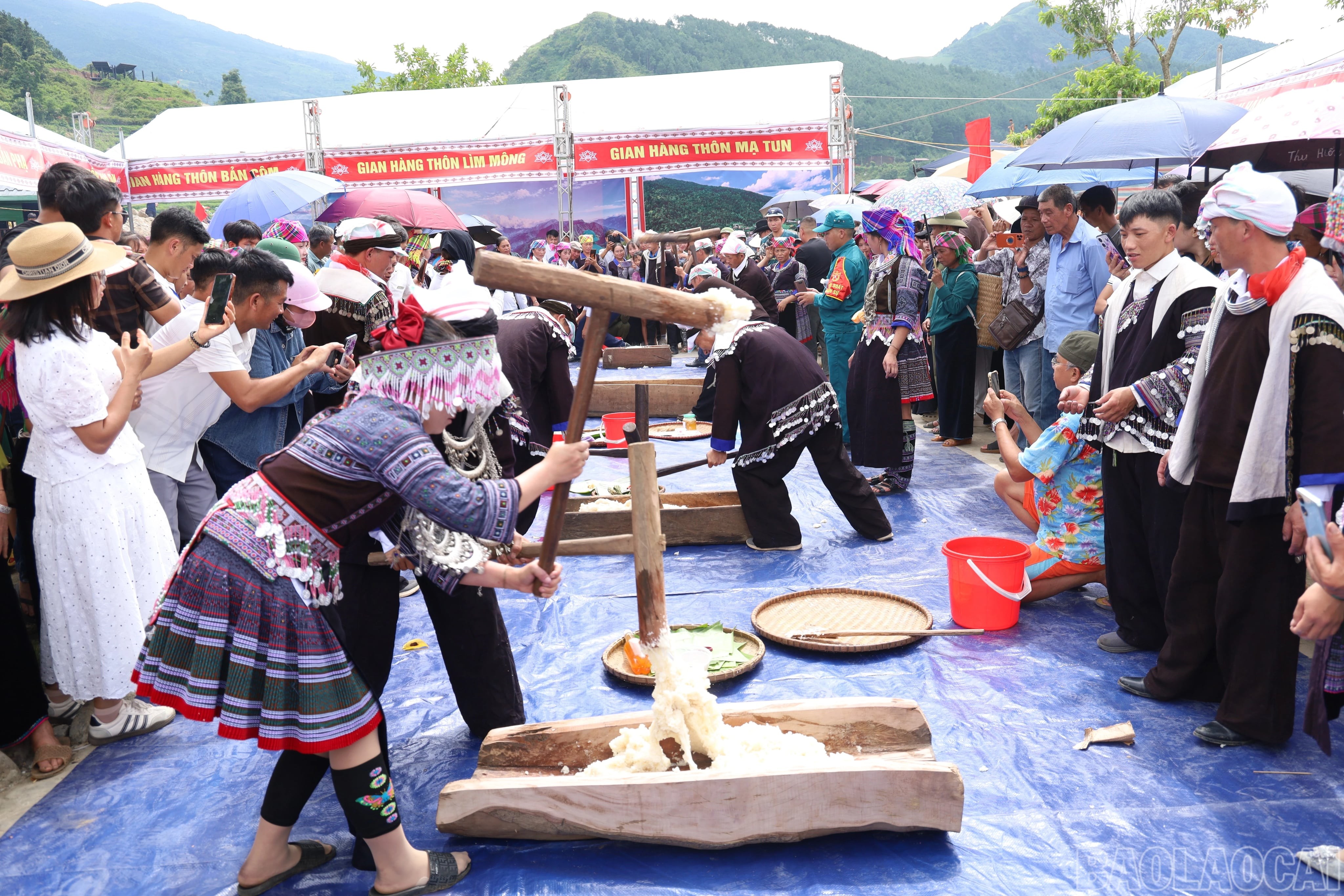 b7485979-b553-4831-be76-9dabcfe146b4-1787643420.jpg