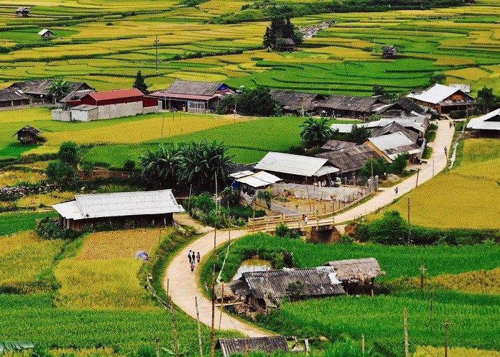 ban-lim-thai-12-1789030968.jpg