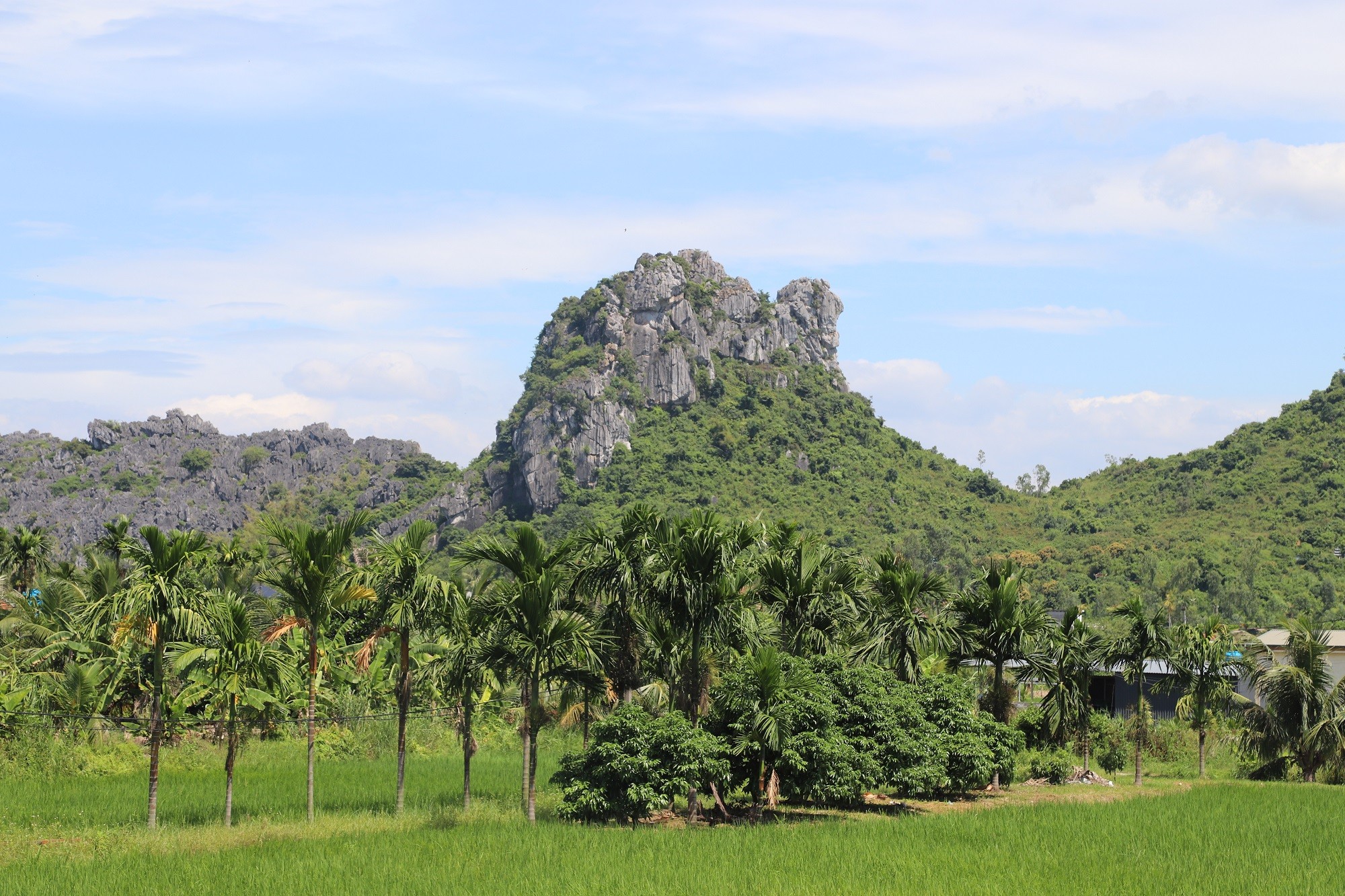 nui-phuong-hoang-yen-duc-1789824657.jpg
