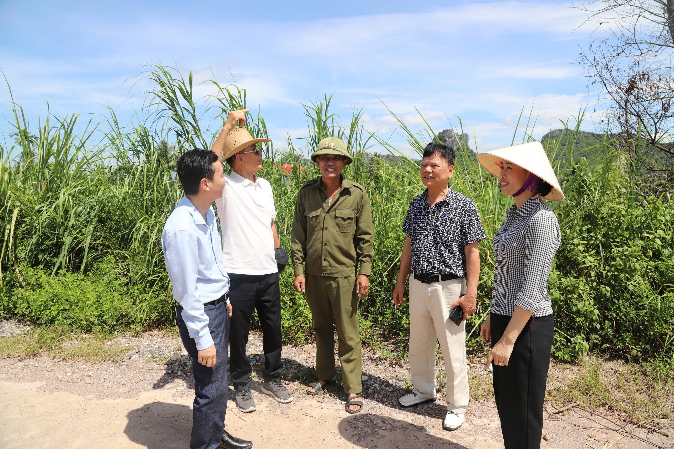 van-nghe-si-1789824502.jpg