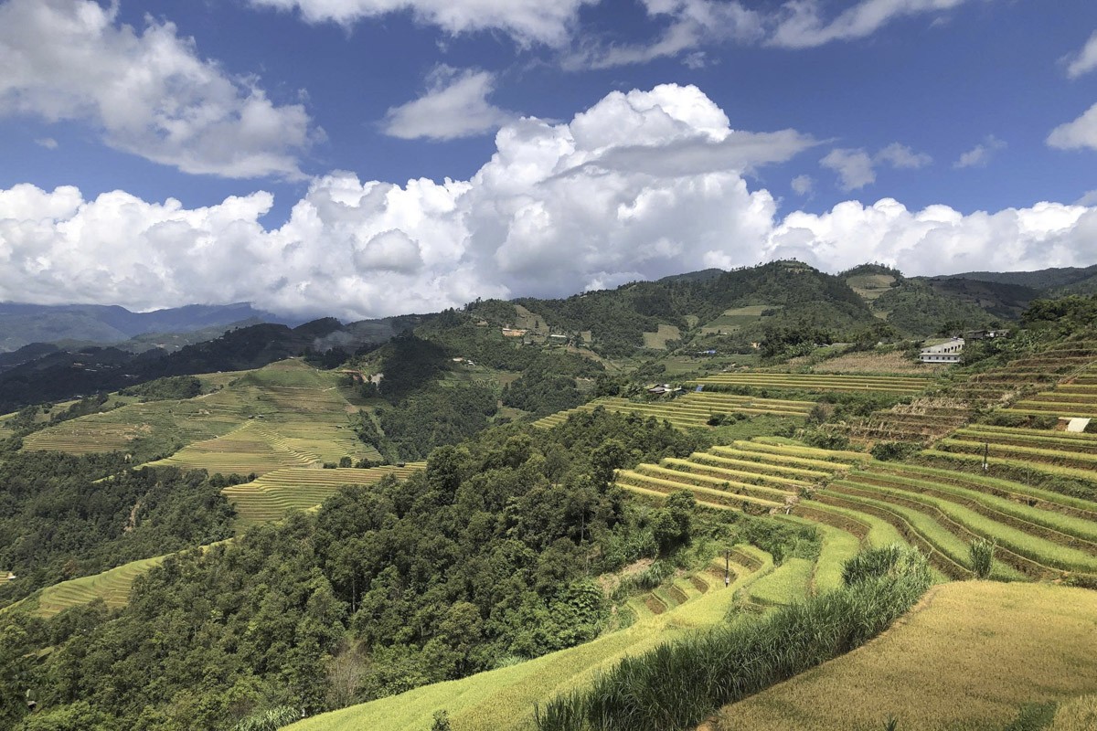 mucangchai2-1790673922.jpg