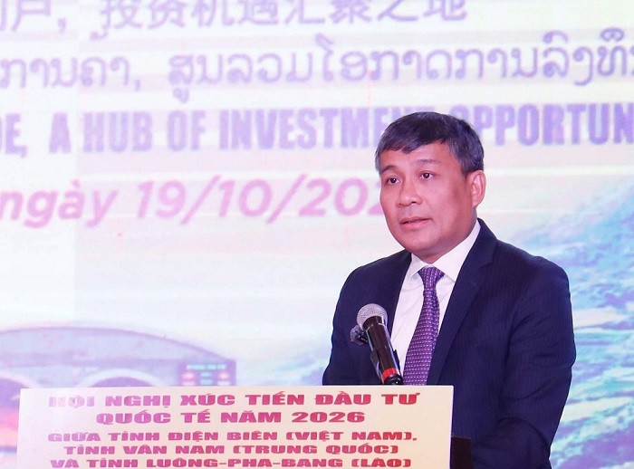 db-00-1792393068.jpg